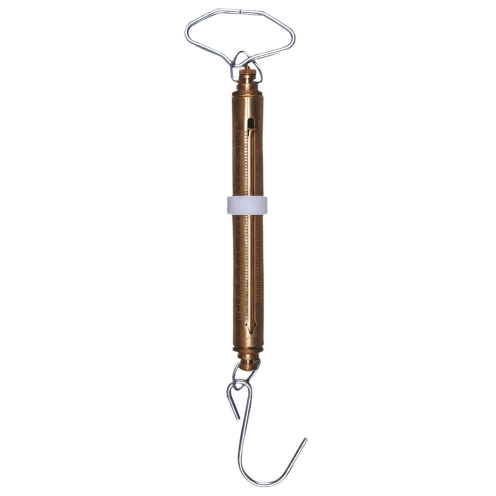 Manley Spring Game Fishing Scales