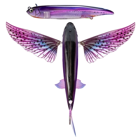 Colour Phantom