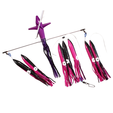 Colour Black-Purple